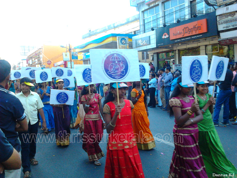 school-kalolsavam (88)